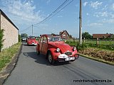 Zandlemig Vlaanderen